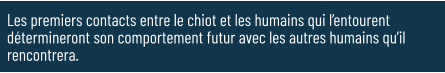 Les premiers contacts entre le chiot et les humains qui l’entourent détermineront son comportement futur avec les autres humains qu’il rencontrera.