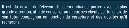 Il est du devoir de l'éleveur d'observer chaque portée avec la plus grande attention, afin de conseiller au mieux ses clients sur le  choix de son futur compagnon en fonction du caractère et des qualités qu'il recherche.