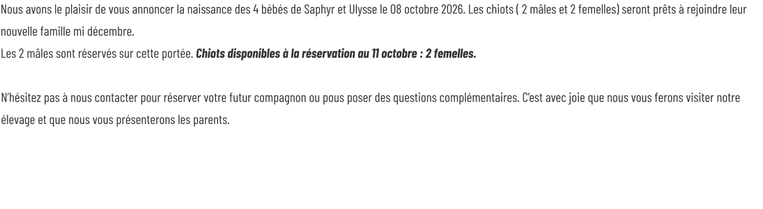 Nous avons le plaisir de vous annoncer la naissance des 4 bébés de Saphyr et Ulysse le 08 octobre 2026. Les chiots ( 2 mâles et 2 femelles) seront prêts à rejoindre leur nouvelle famille mi décembre. Les 2 mâles sont réservés sur cette portée. Chiots disponibles à la réservation au 11 octobre : 2 femelles.  N’hésitez pas à nous contacter pour réserver votre futur compagnon ou pous poser des questions complémentaires. C’est avec joie que nous vous ferons visiter notre élevage et que nous vous présenterons les parents.